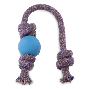 Beco - Ball on Rope Dog Toy - Blue