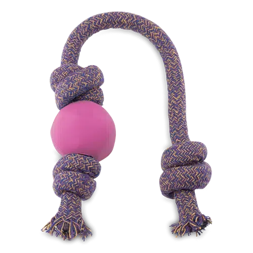Beco - Ball on Rope Dog Toy - Blue