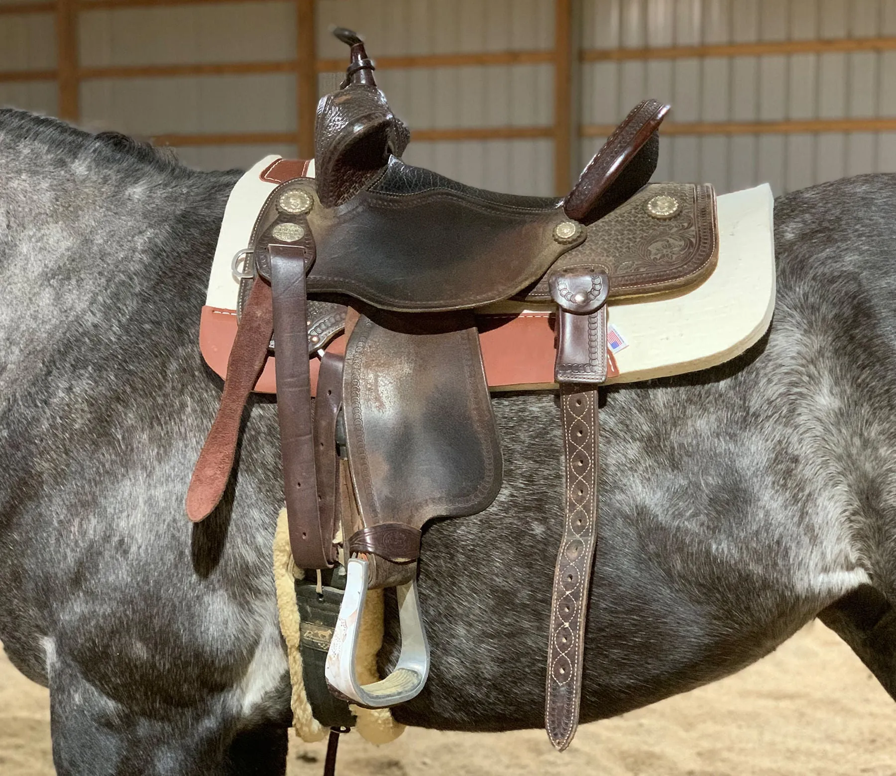 Blue Horse 100% Pressed Wool Contoured Saddle Pad