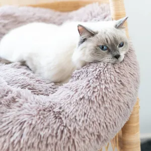 Calming Cat Bed