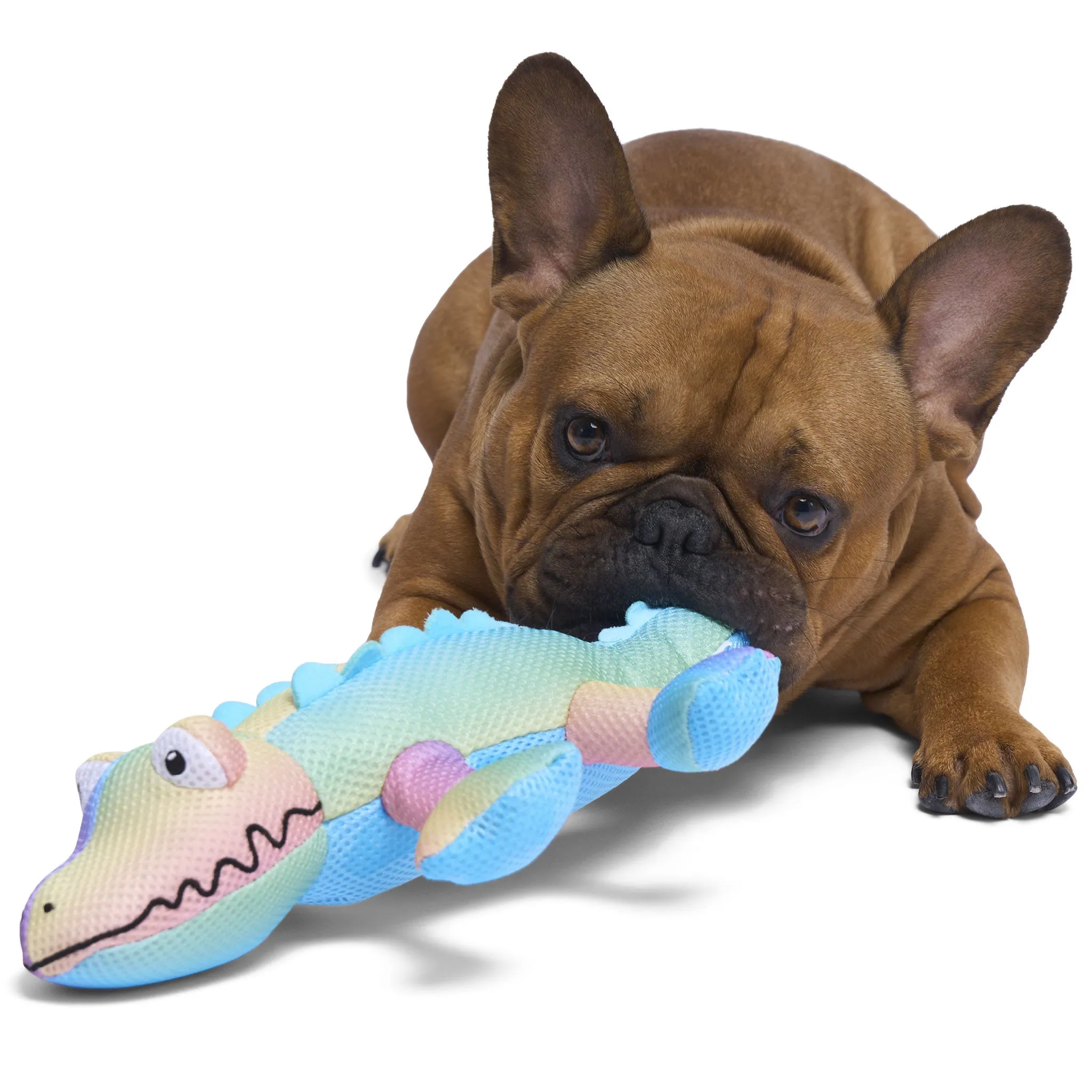 Canada Pooch Chill Seeker Crocodile Dog Toy