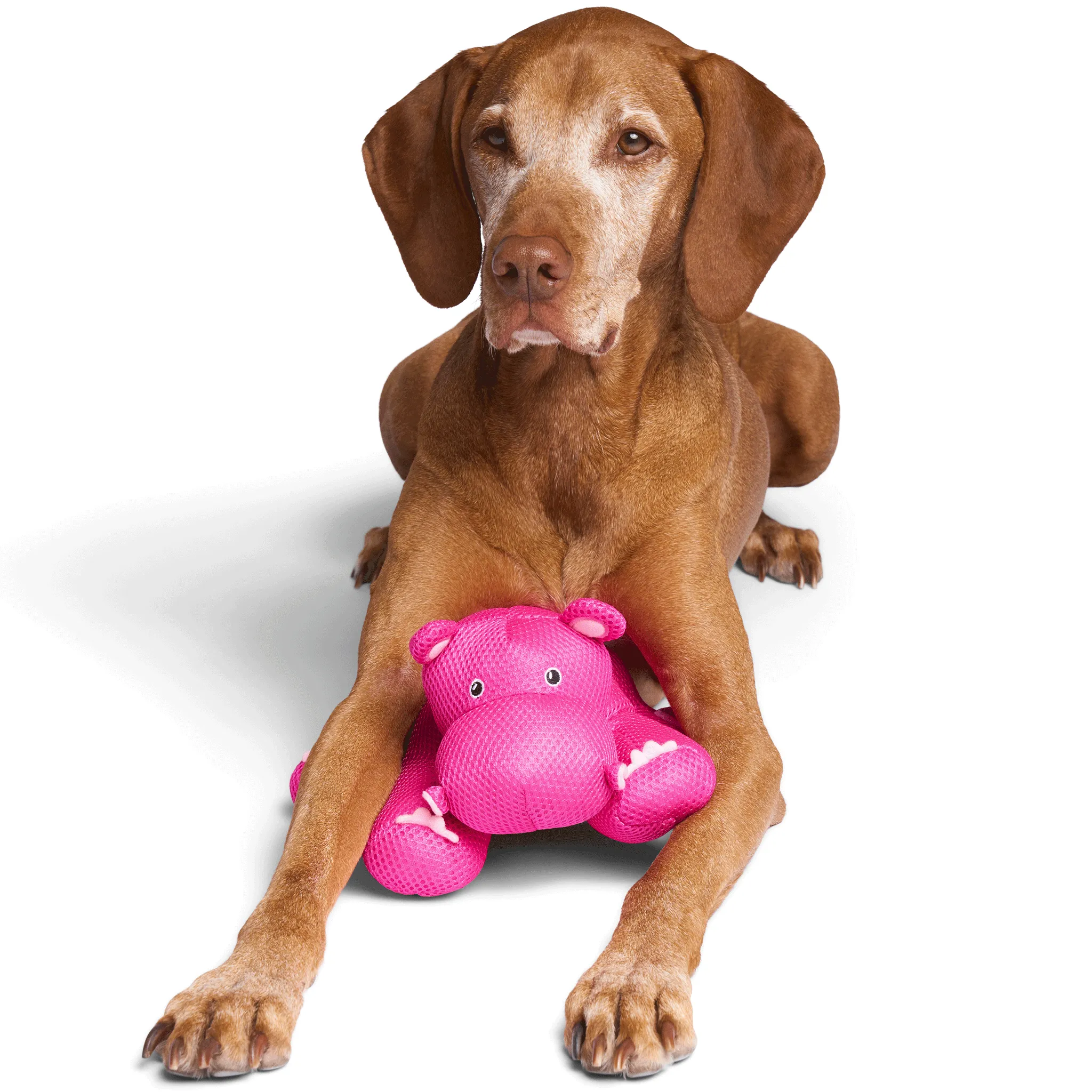 Canada Pooch Chill Seeker Hippo Dog Toy