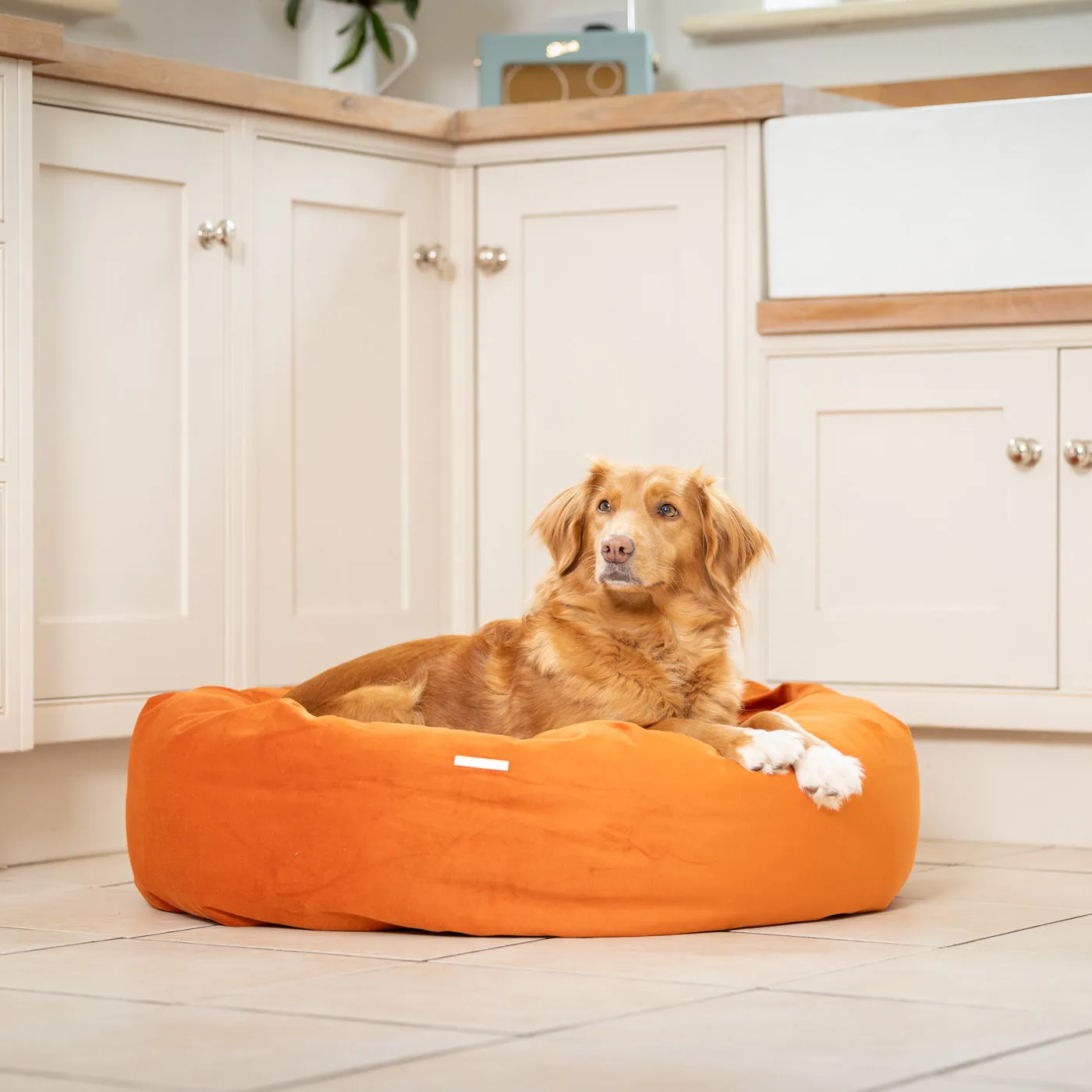 Donut Bed With Removable Covers in Pumpkin Velvet by Lords & Labradors