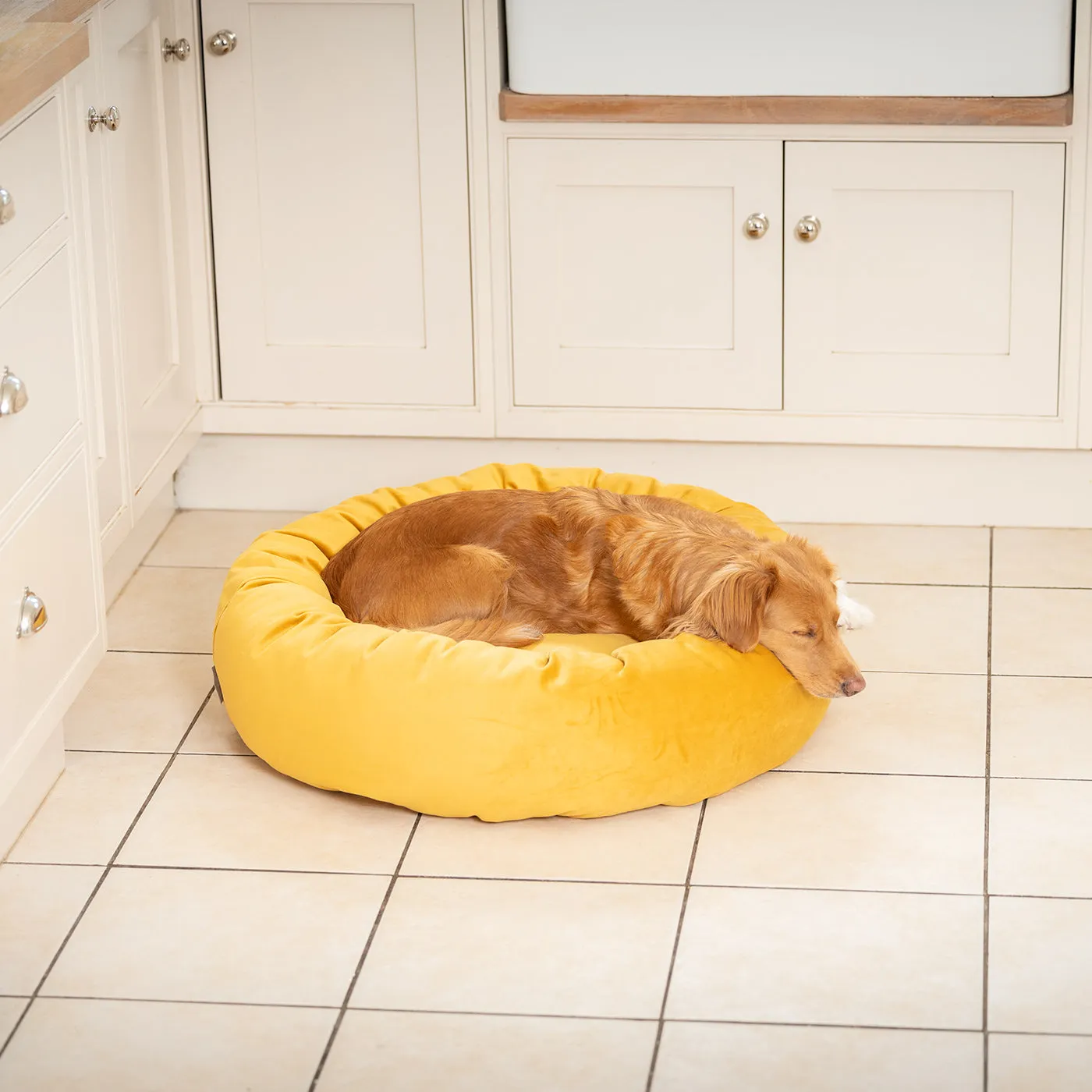 Donut Bed With Removable Covers in Saffron Velvet by Lords & Labradors