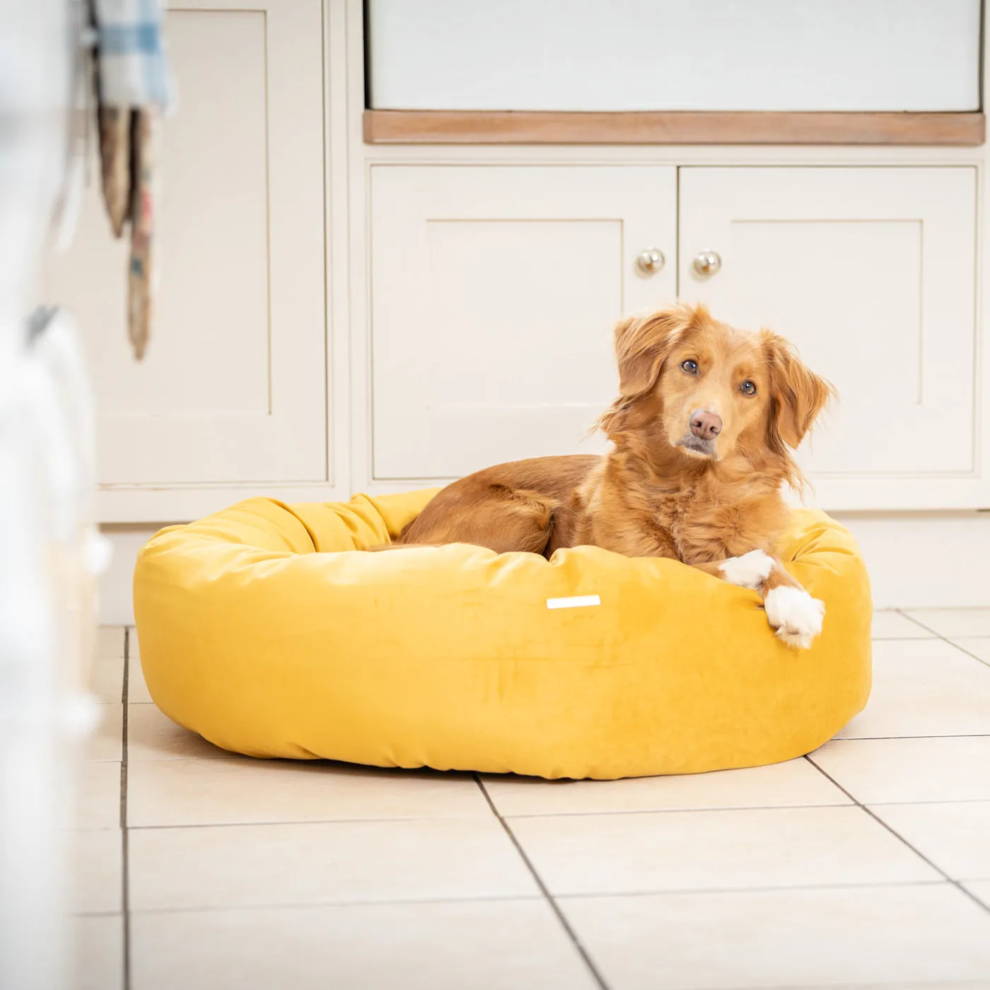Donut Bed With Removable Covers in Saffron Velvet by Lords & Labradors