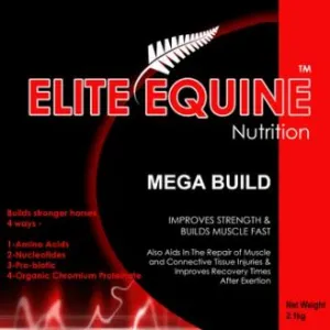 Elite Equine Mega Build