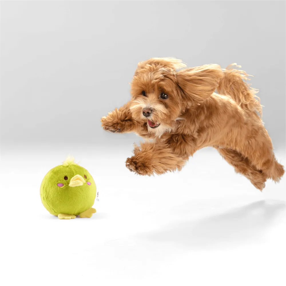 Fofos Slow Rising Animal Toy Set for Dogs (Green)
