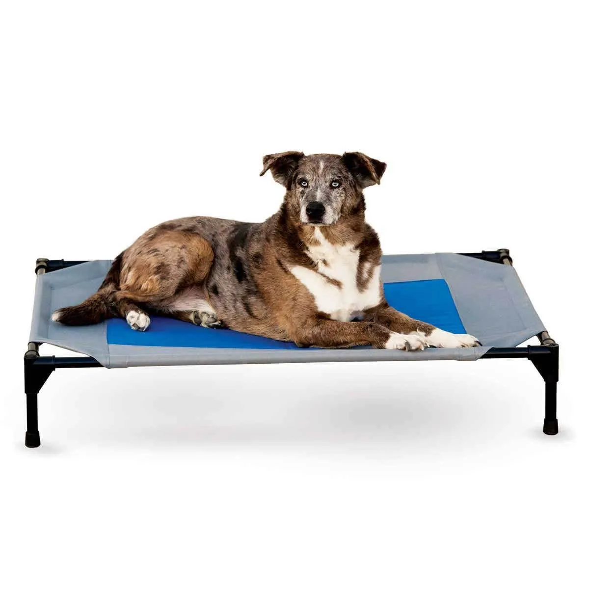 Gray Blue Cooling Dog Cot with Waterproof Fabric - Large