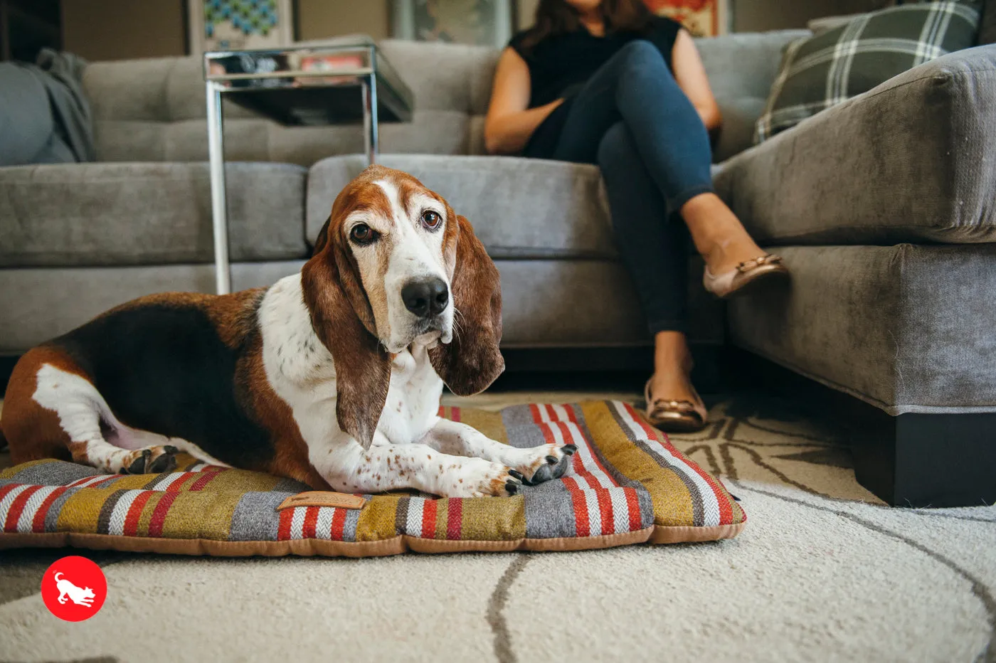 Horizon Chill Pad for Dogs and Cats: Woodland