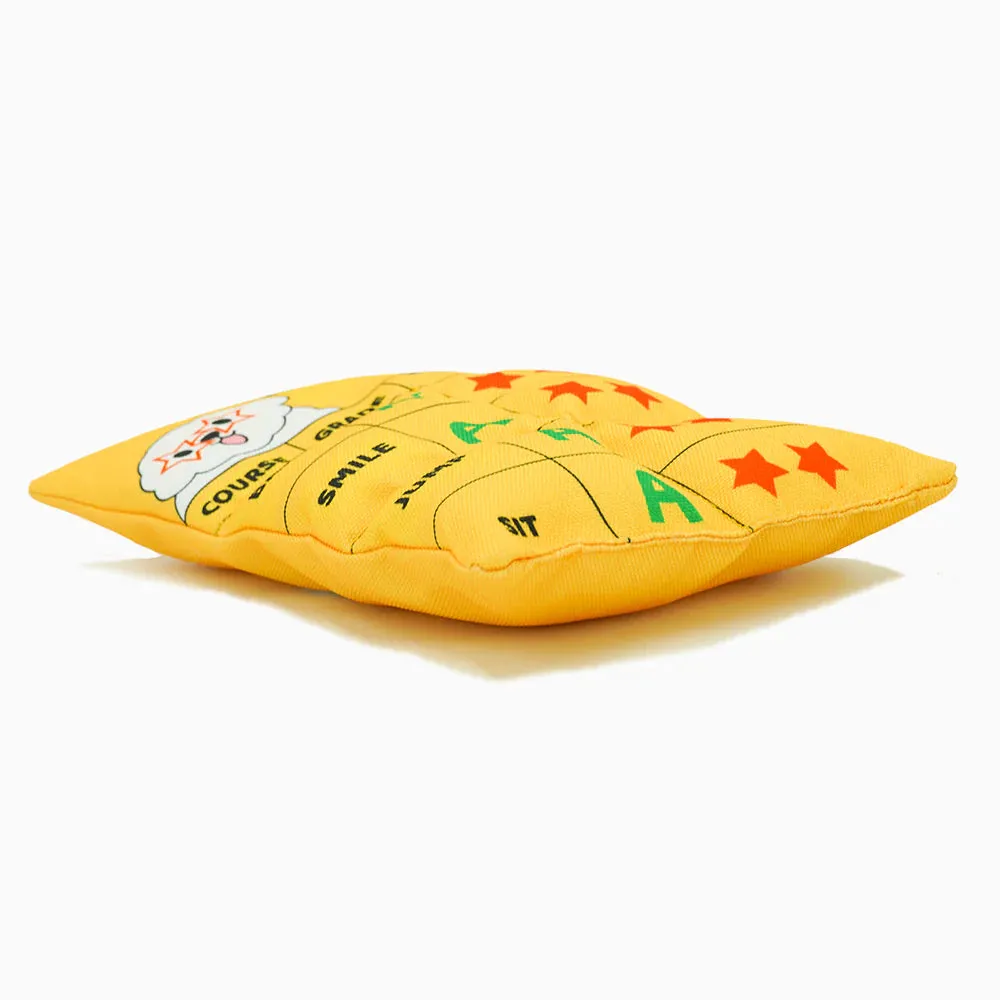 HugSmart Pooch Academy Report Card Dog Toy
