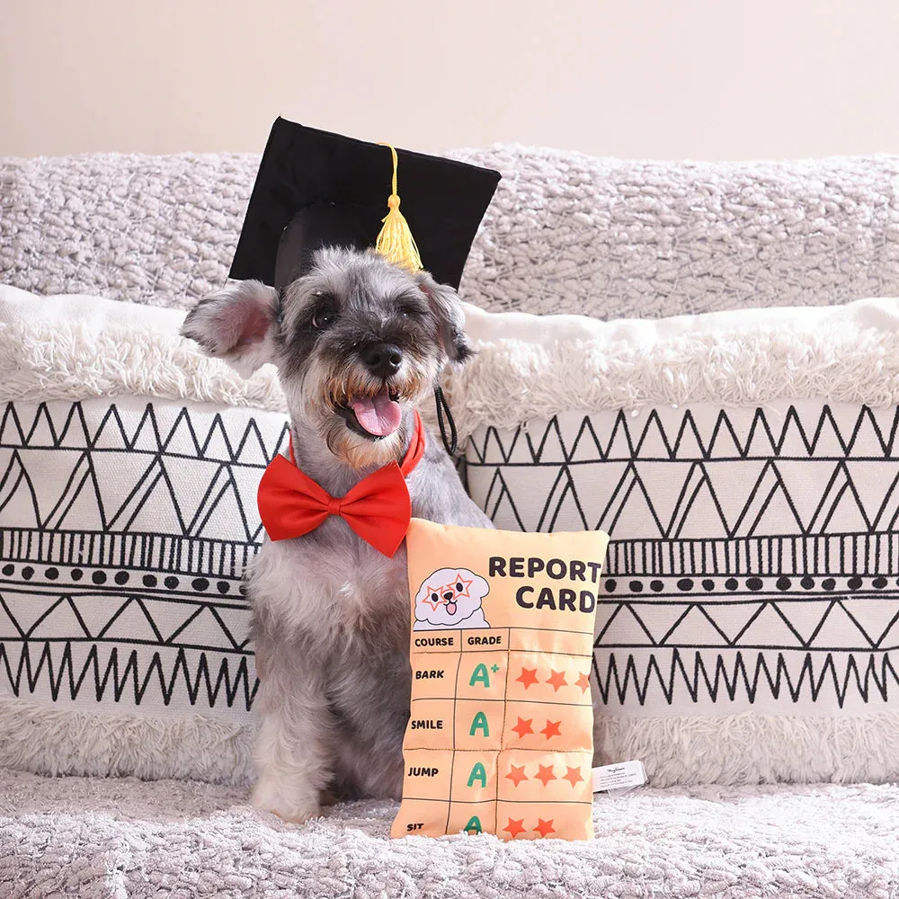 HugSmart Pooch Academy Report Card Dog Toy