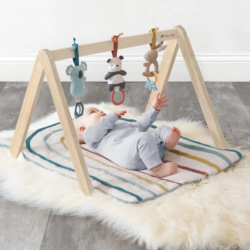 Itzy Ritzy Activity Gym
