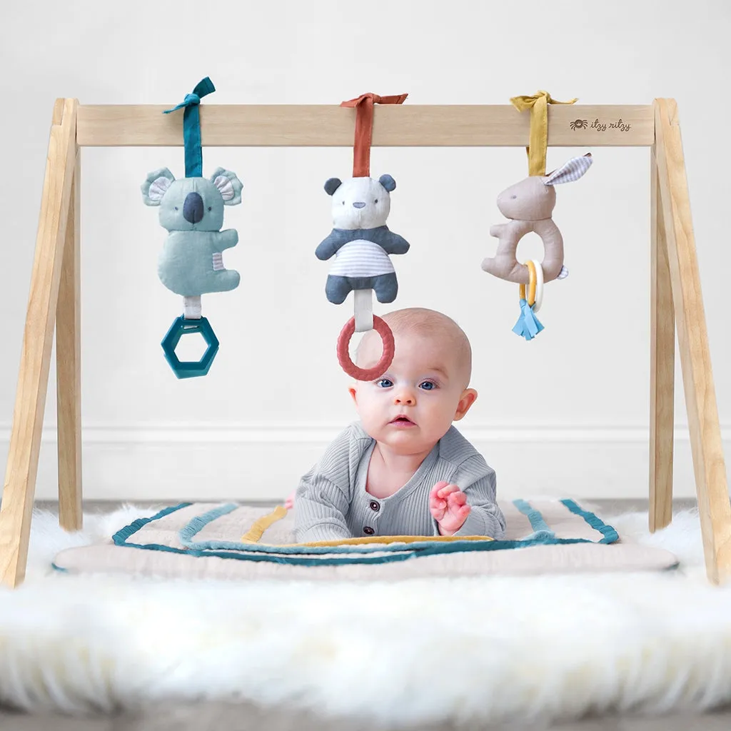 Itzy Ritzy Activity Gym