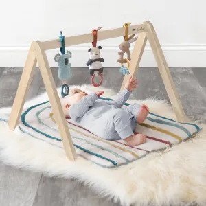 Itzy Ritzy Activity Gym