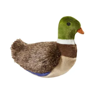 Morley Mallard