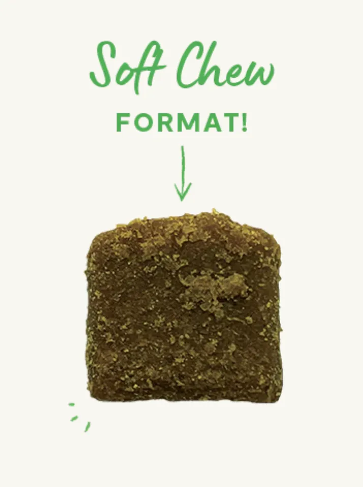 Open Farm Probiotic Chews