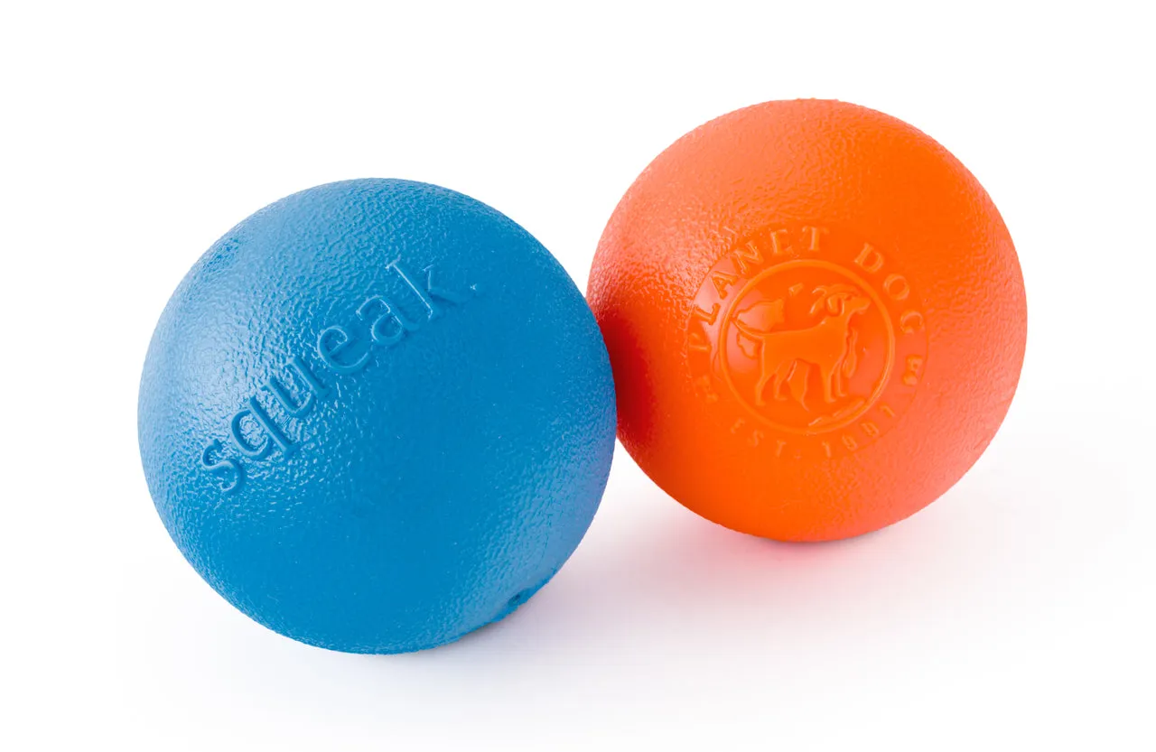 Planet Dog Orbee Tuff Squeak Ball