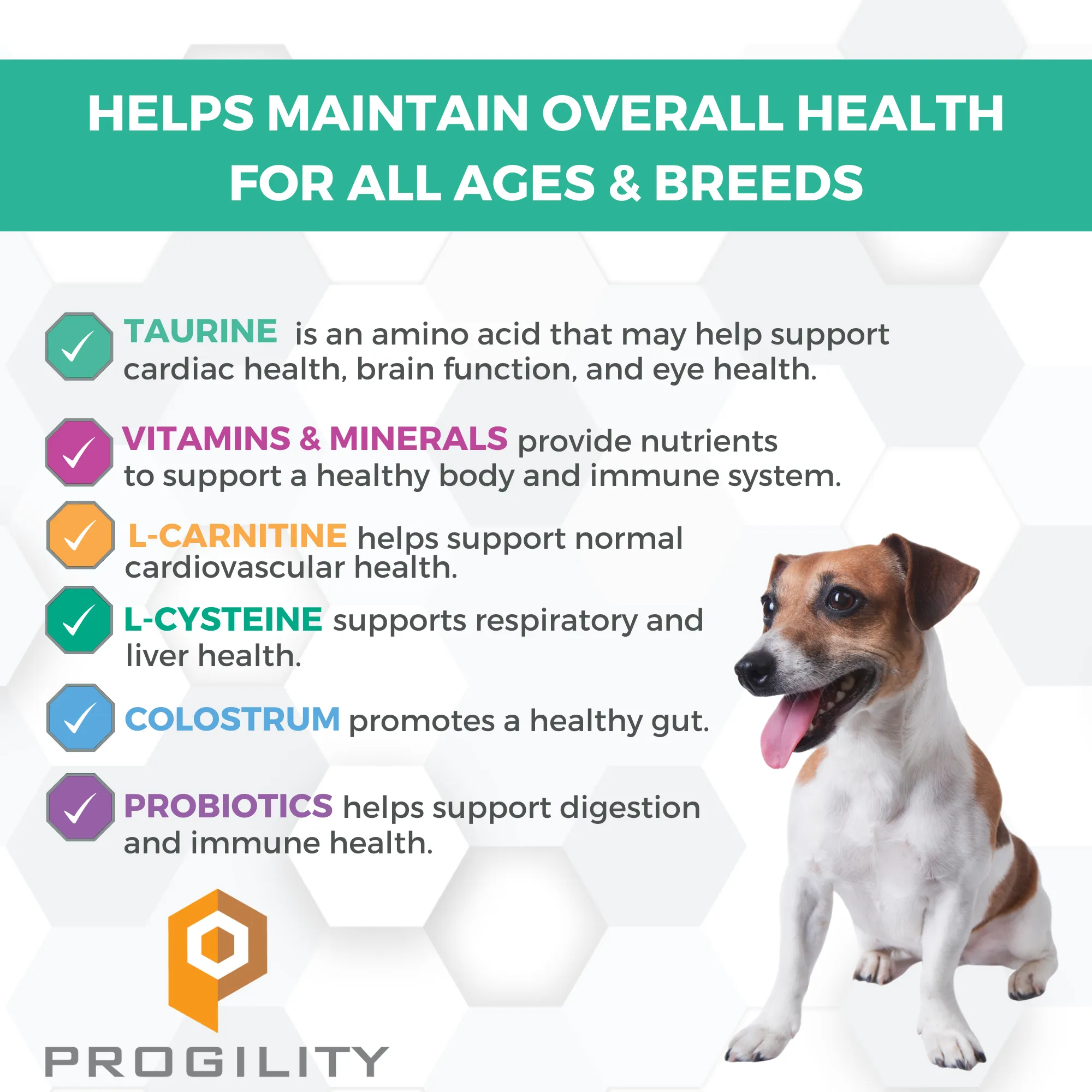 Progility Minis Multivitamin Soft Chew Supplements | Helps maintain overall health for all ages & breeds