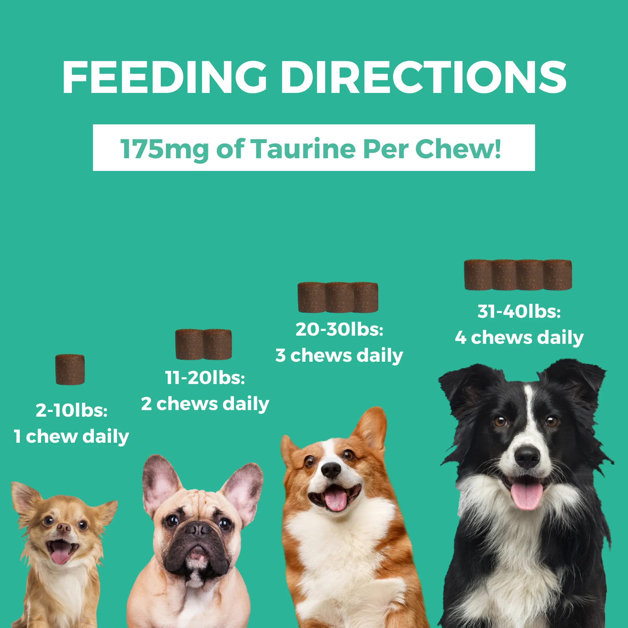 Progility Minis Multivitamin Soft Chew Supplements | Helps maintain overall health for all ages & breeds