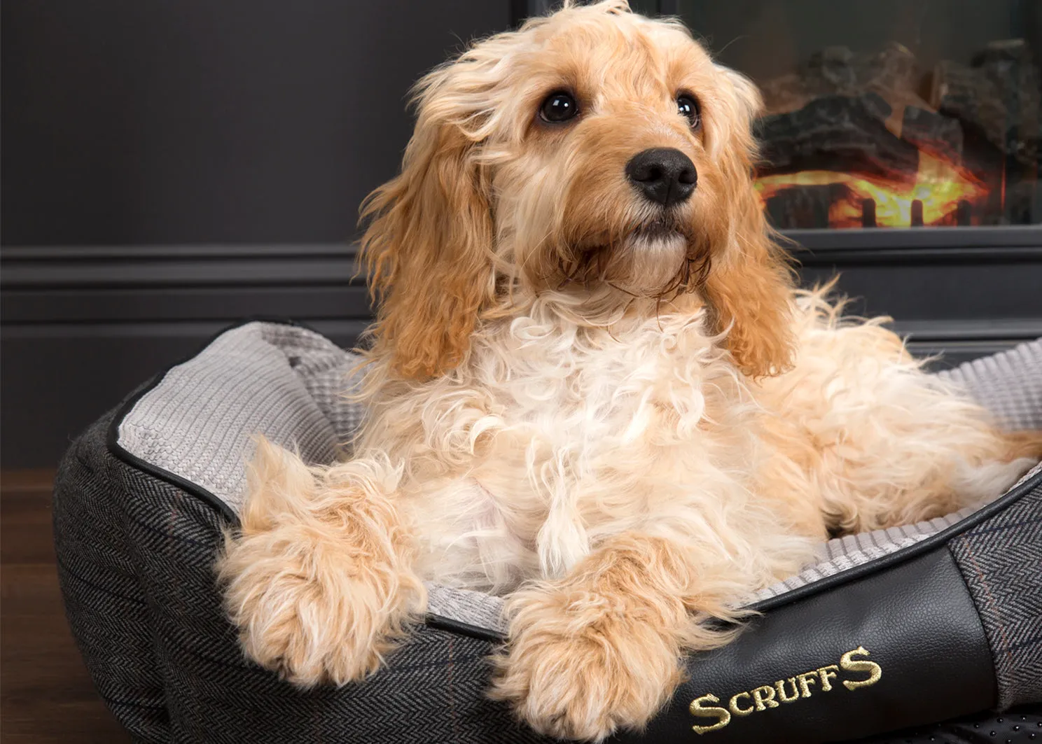 Scruffs Windsor Box Dog Bed - Charcoal - Large