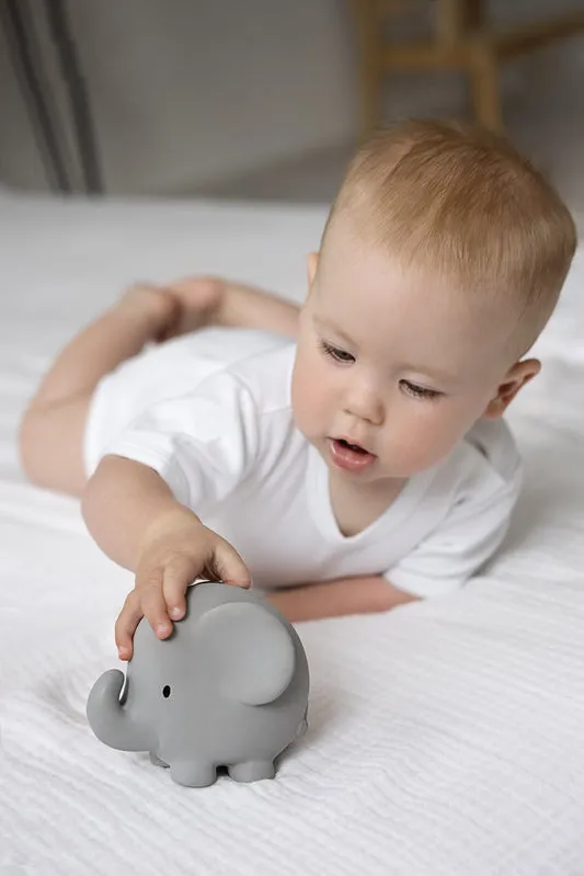 Tikiri Safari Rubber Teether Rattle & Bath Toys