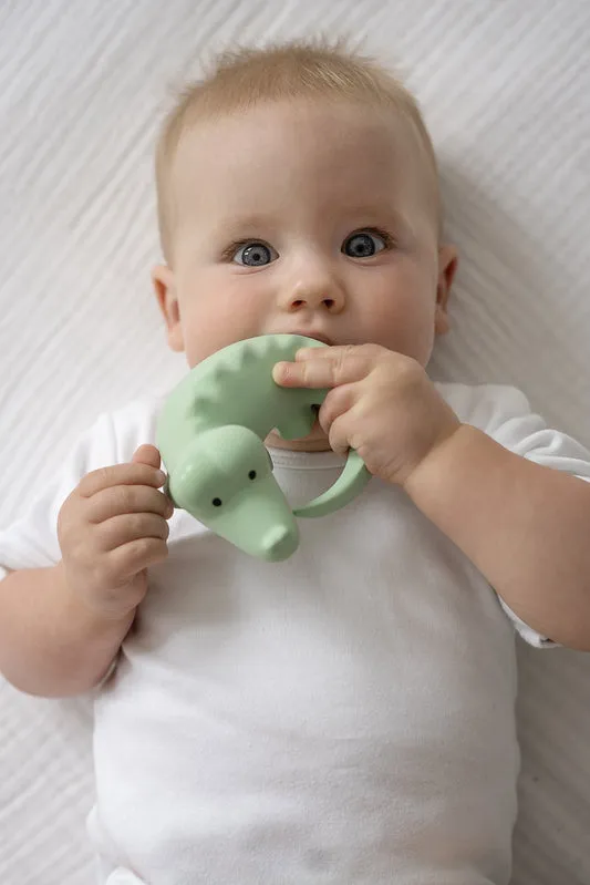 Tikiri Safari Rubber Teether Rattle & Bath Toys