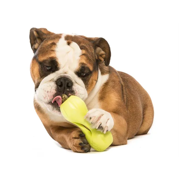 West Paw Qwizl Treat Dispensing Dog Toy Green