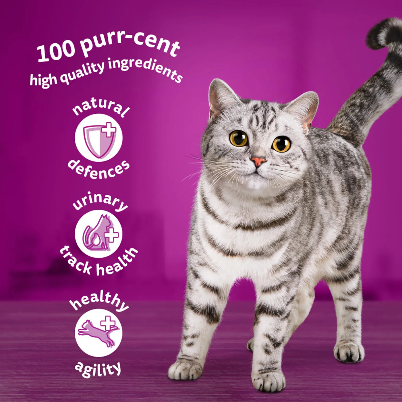 Whiskas 7  Senior Cat Fish Favourites in Jelly (12x85g)