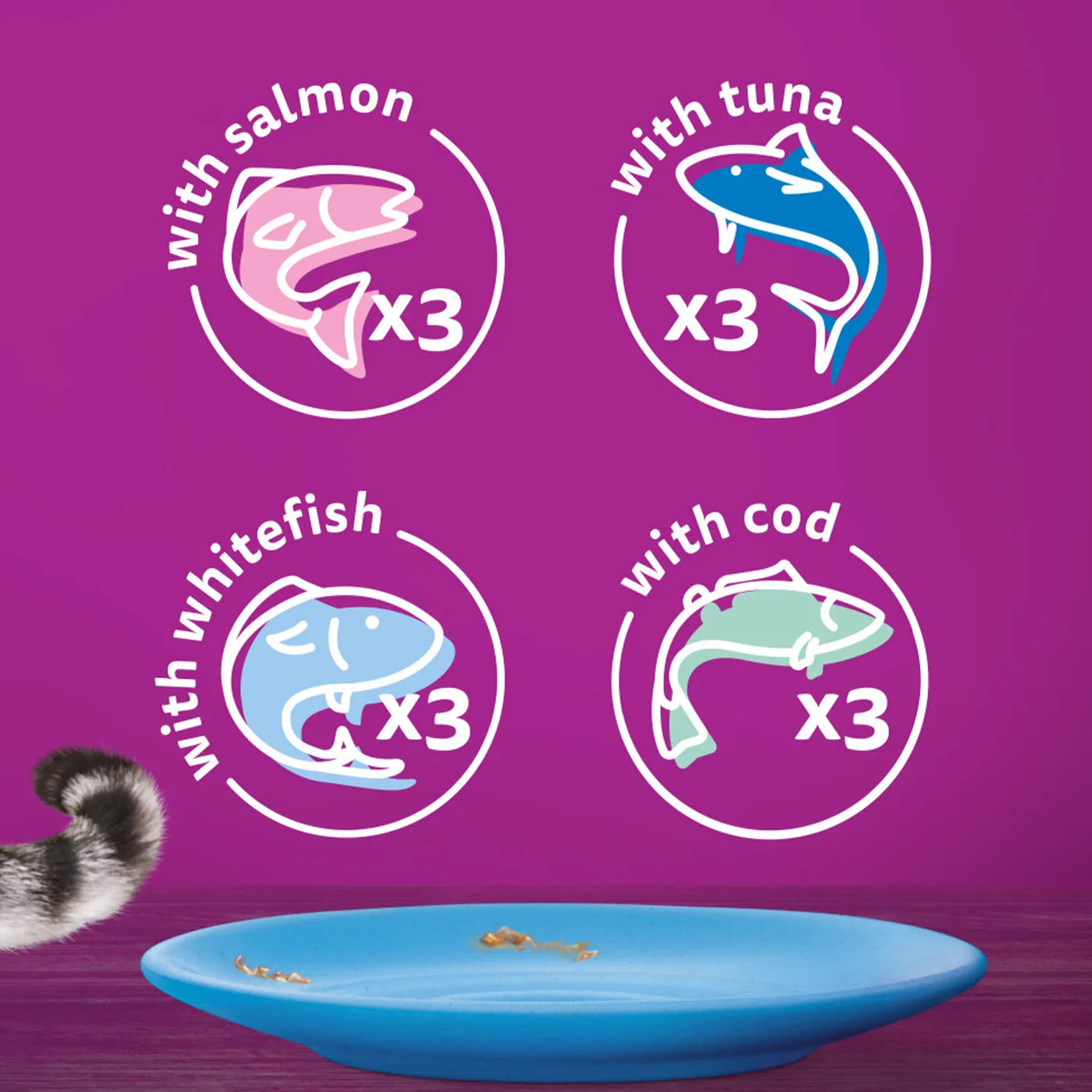 Whiskas 7  Senior Cat Fish Favourites in Jelly (12x85g)